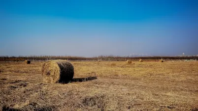 Kakadu Kasino Mobiilisovellus